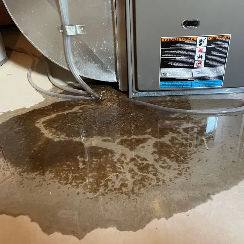 Pipe Burst and Leak Restoration in Cabarrus County, NC